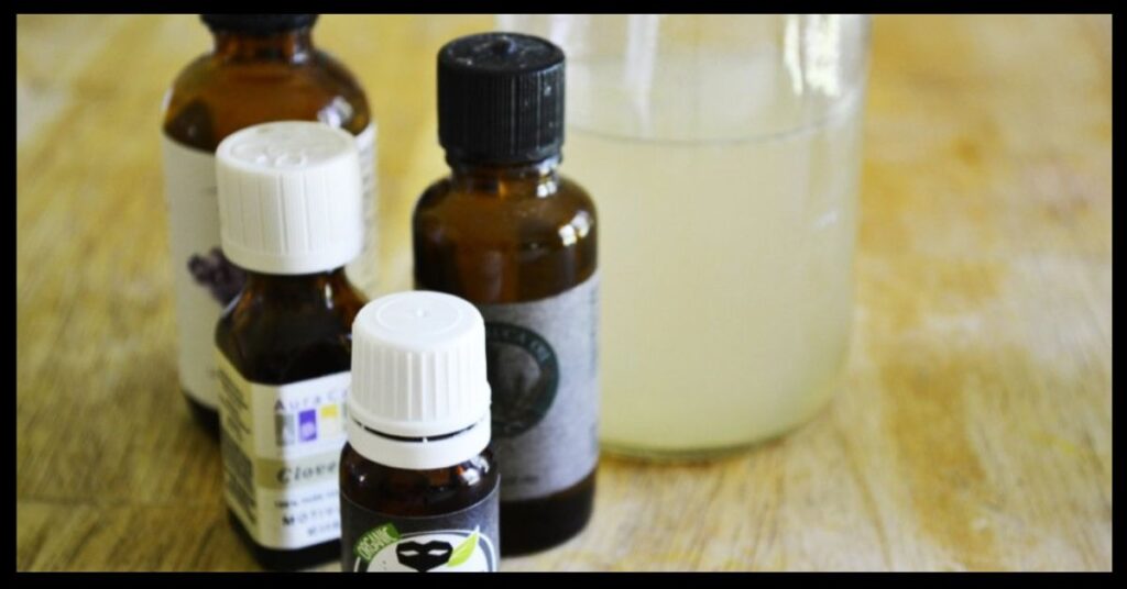 French Elderberry Bug Spray Recipe