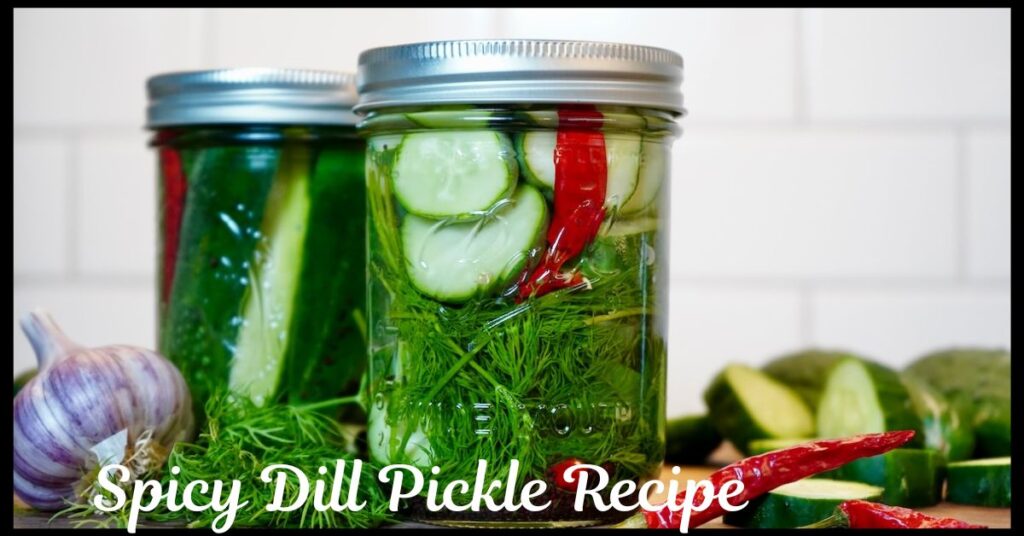 Spicy Dill Pickle Recipe