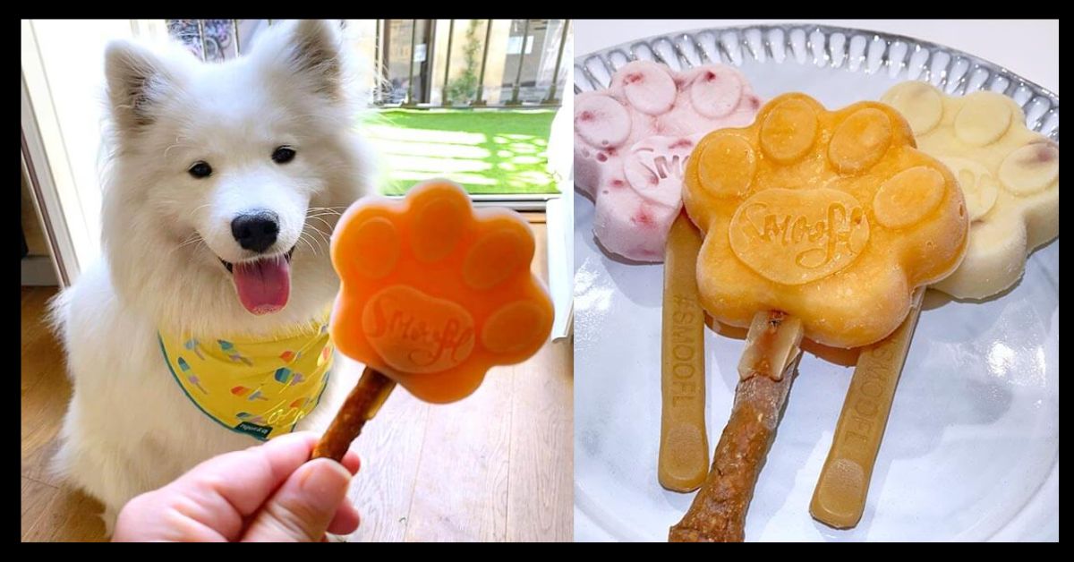 Pupsicle Recipes