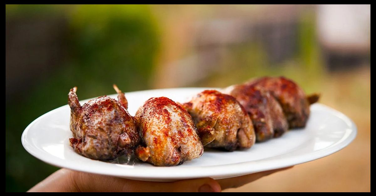 Dove Meat Recipes