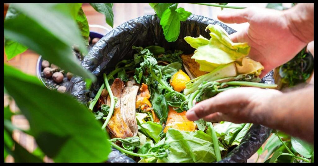 Compost Tea Recipe